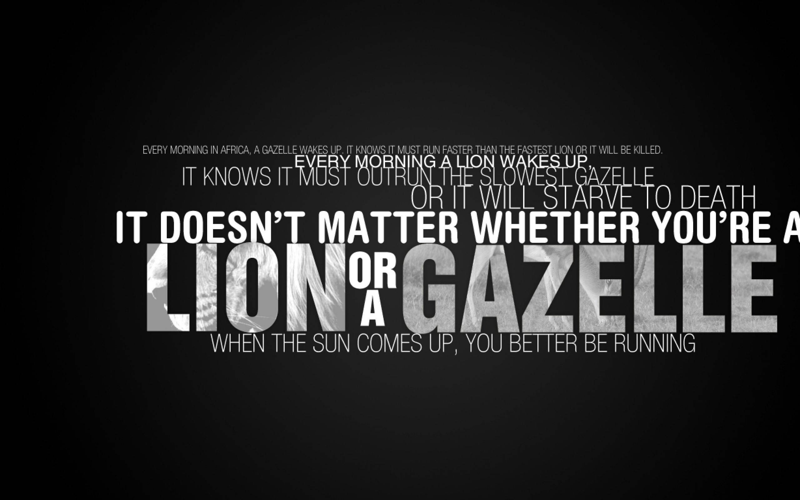 Lion or Gazelle, Fitness Vigor, black background, 2K Desktop Wallpaper