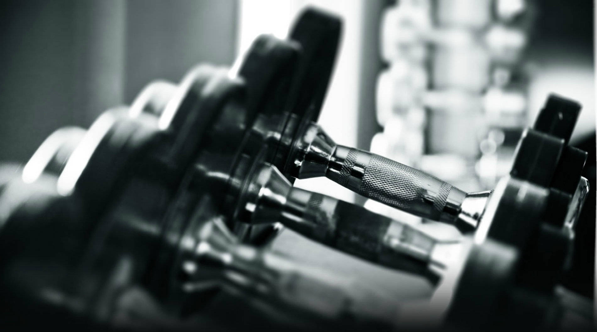 grayscale dumbbells, metallic dumbbells, monochrome gym setting, HD Desktop Wallpaper