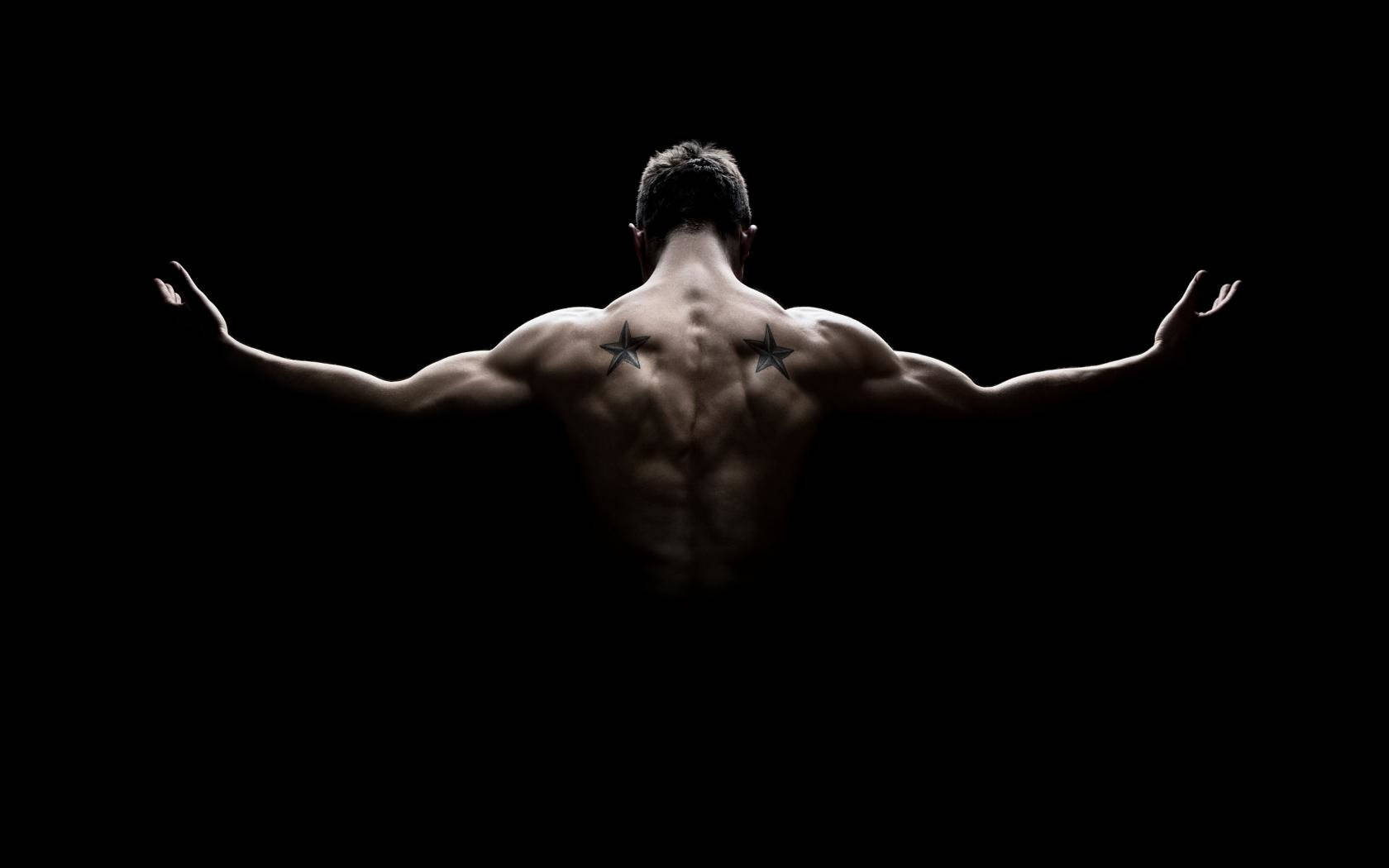fitness, muscular man, rear shot, HD Desktop Wallpaper
