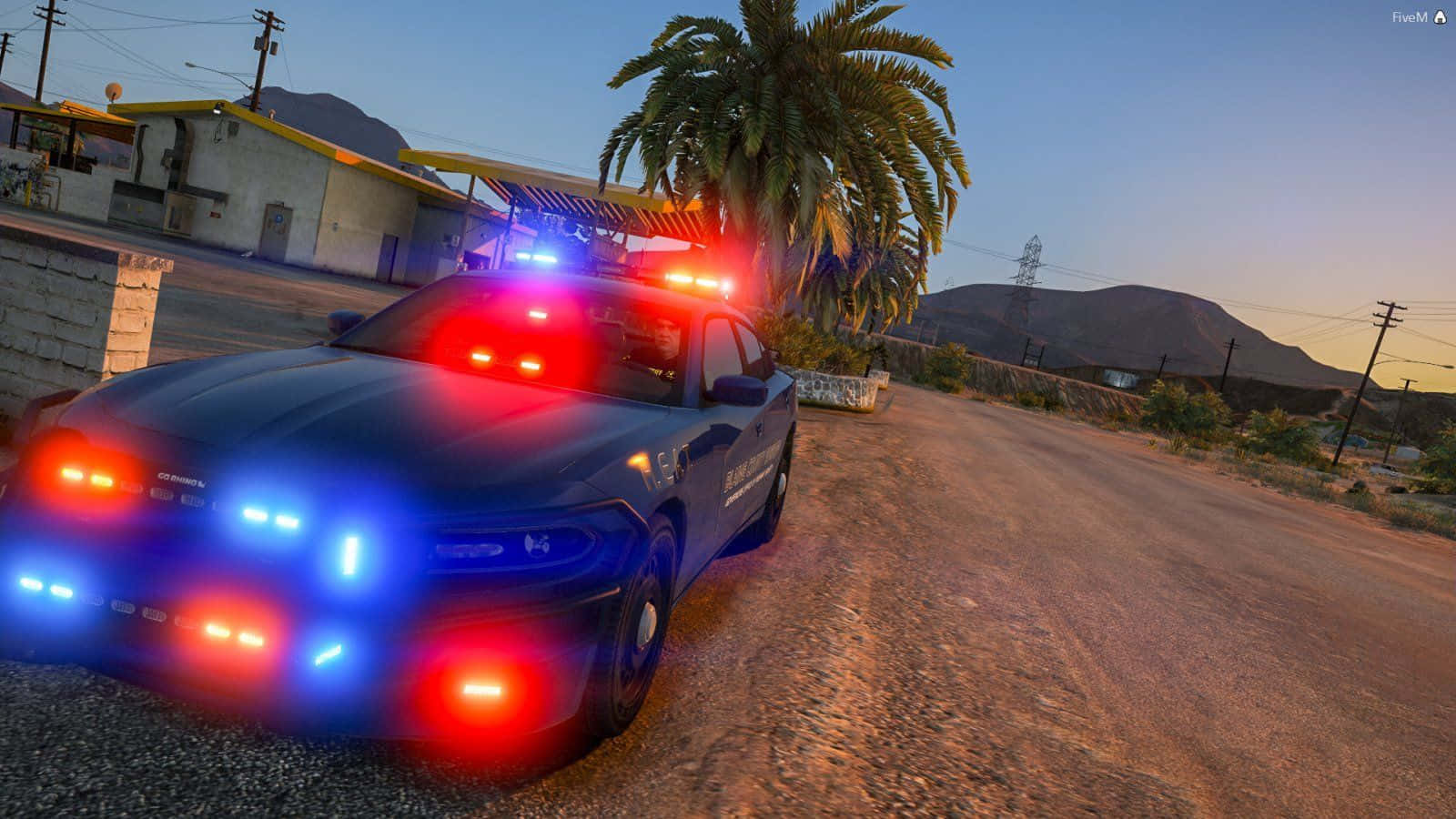 FiveM, police car, flashing red and blue lights, HD Desktop Wallpaper