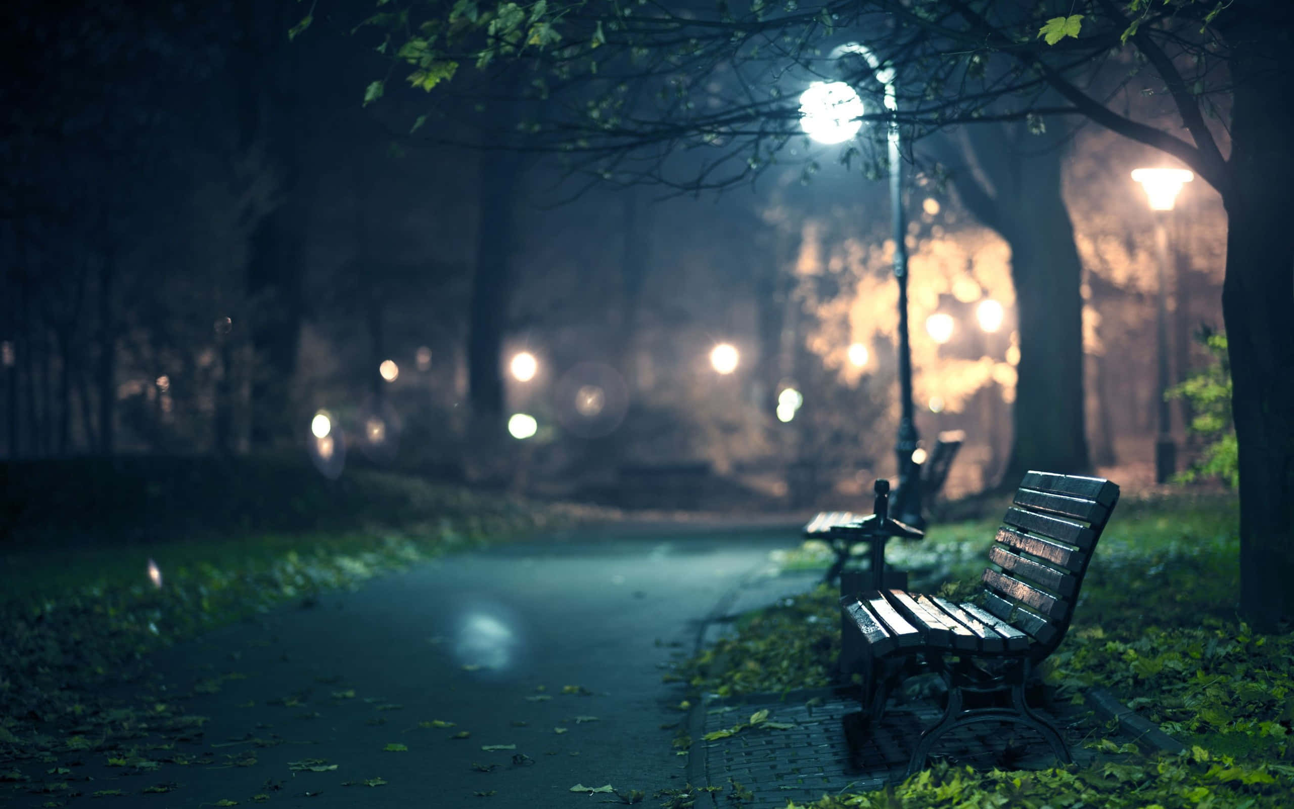 FL Studio, 2560 x 1600, autumn night, 2K Desktop Wallpaper