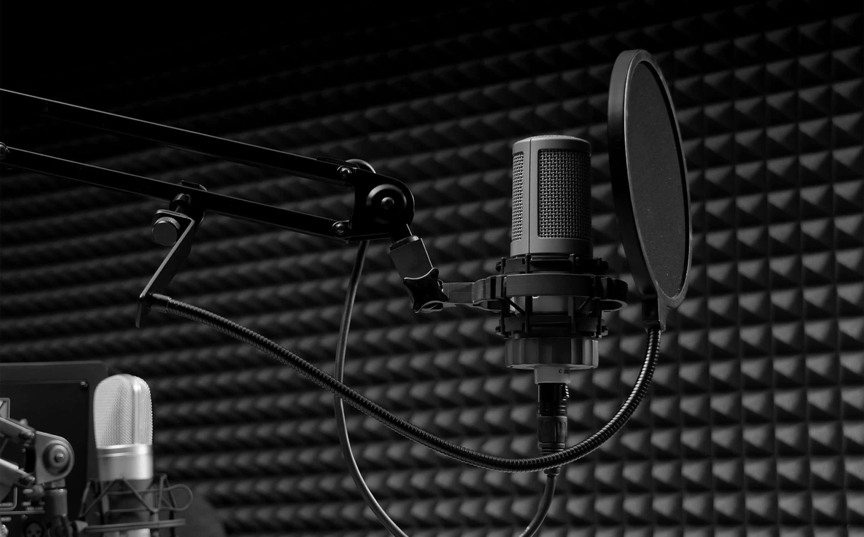 Fl Studio, professional studio microphone, pop filter, 2K Desktop Wallpaper