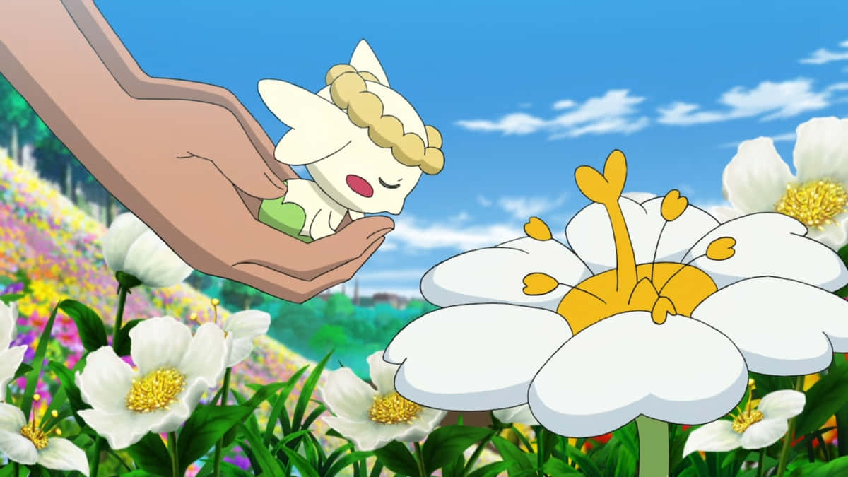Flabébé, white anime creature, vibrant field of white and yellow flowers, SD Desktop Wallpaper