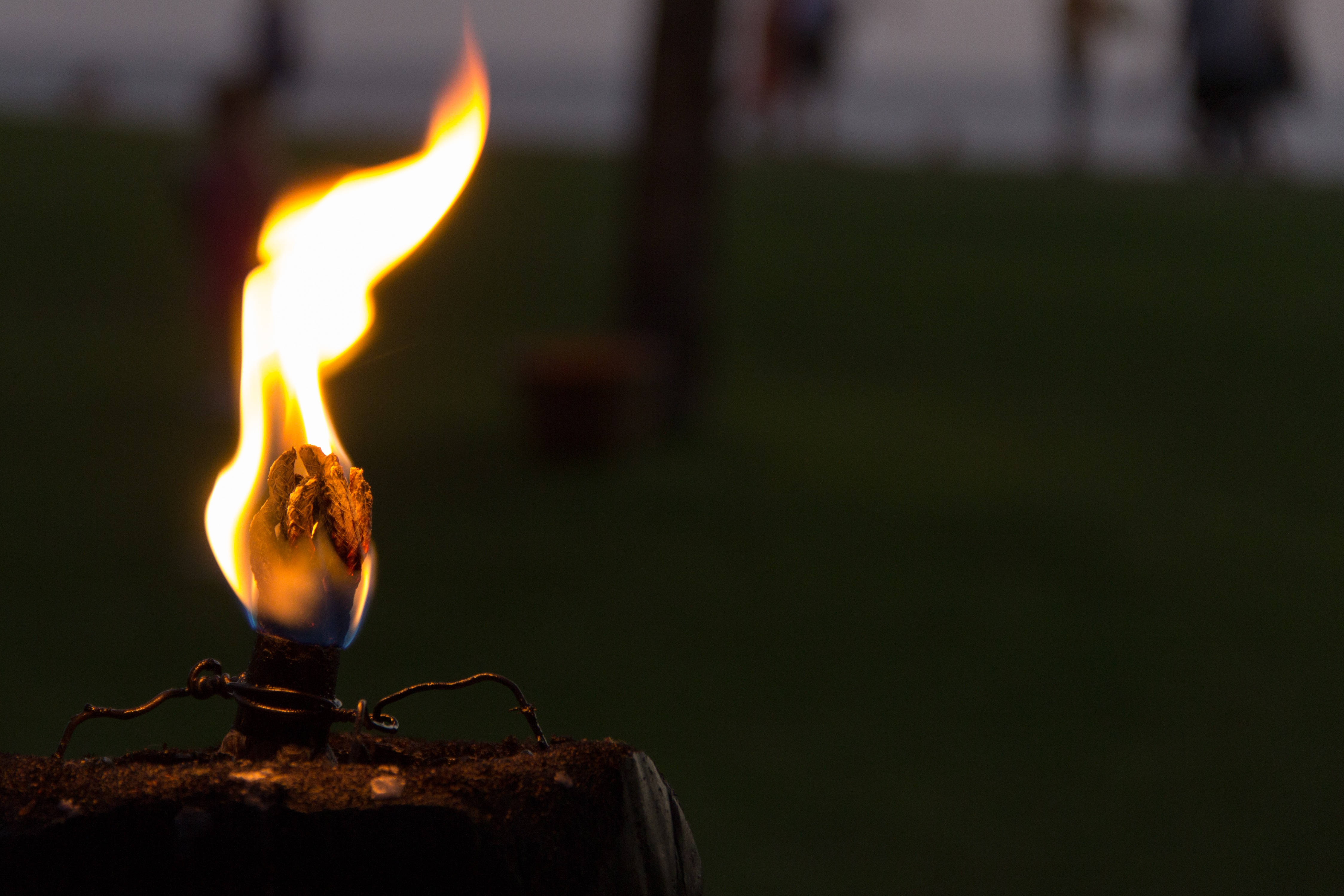 torch, flickering flame, dark green grassy background, 4K Desktop Wallpaper
