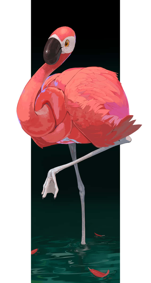 elegant flamingo, one leg, dark green water, SD Phone Wallpaper