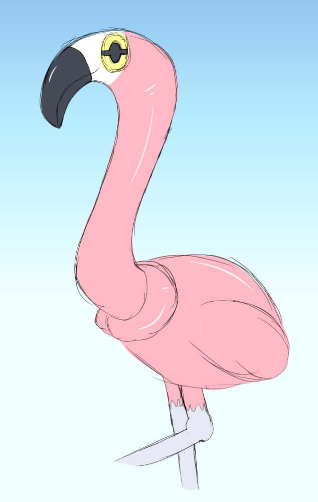 pink flamingo, yellow eye, black beak, SD Phone Wallpaper