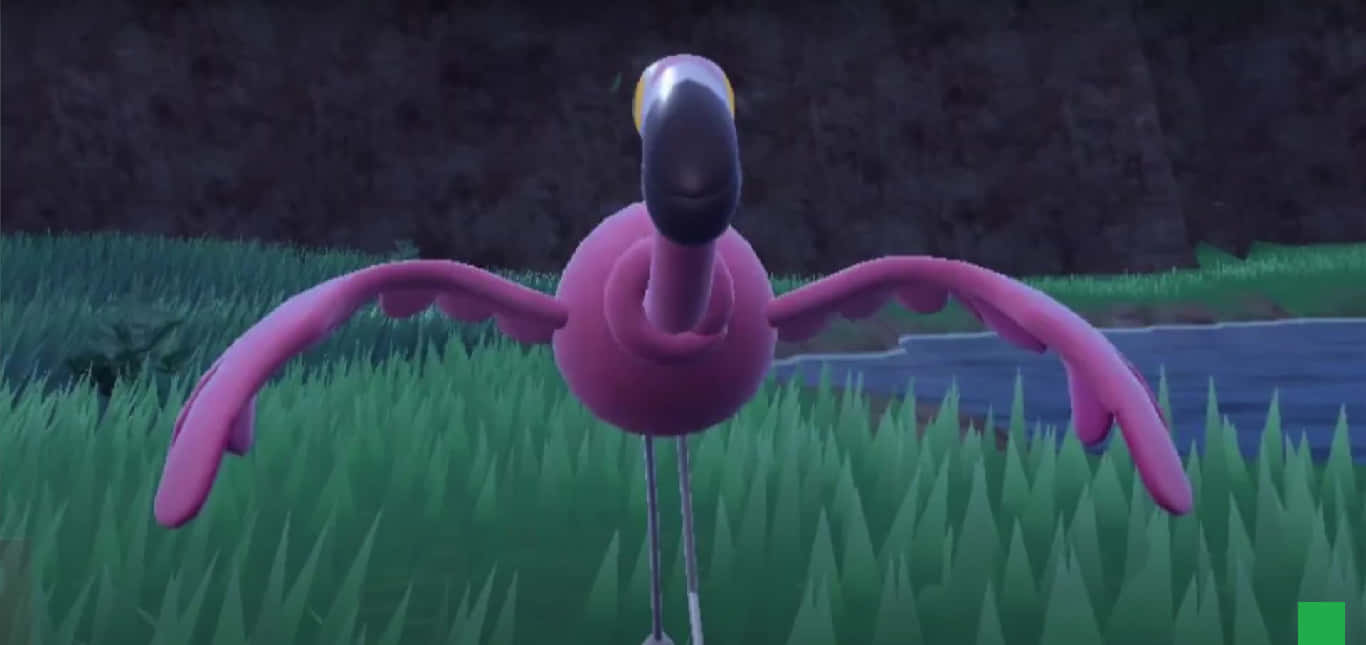 Flamigo, pink flamingo, green grass, HD Desktop Wallpaper