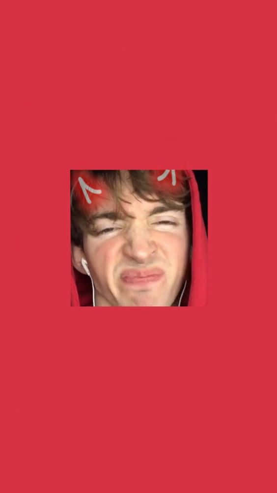 Flamingo Albert, red hoodie, devil horns, SD Phone Wallpaper