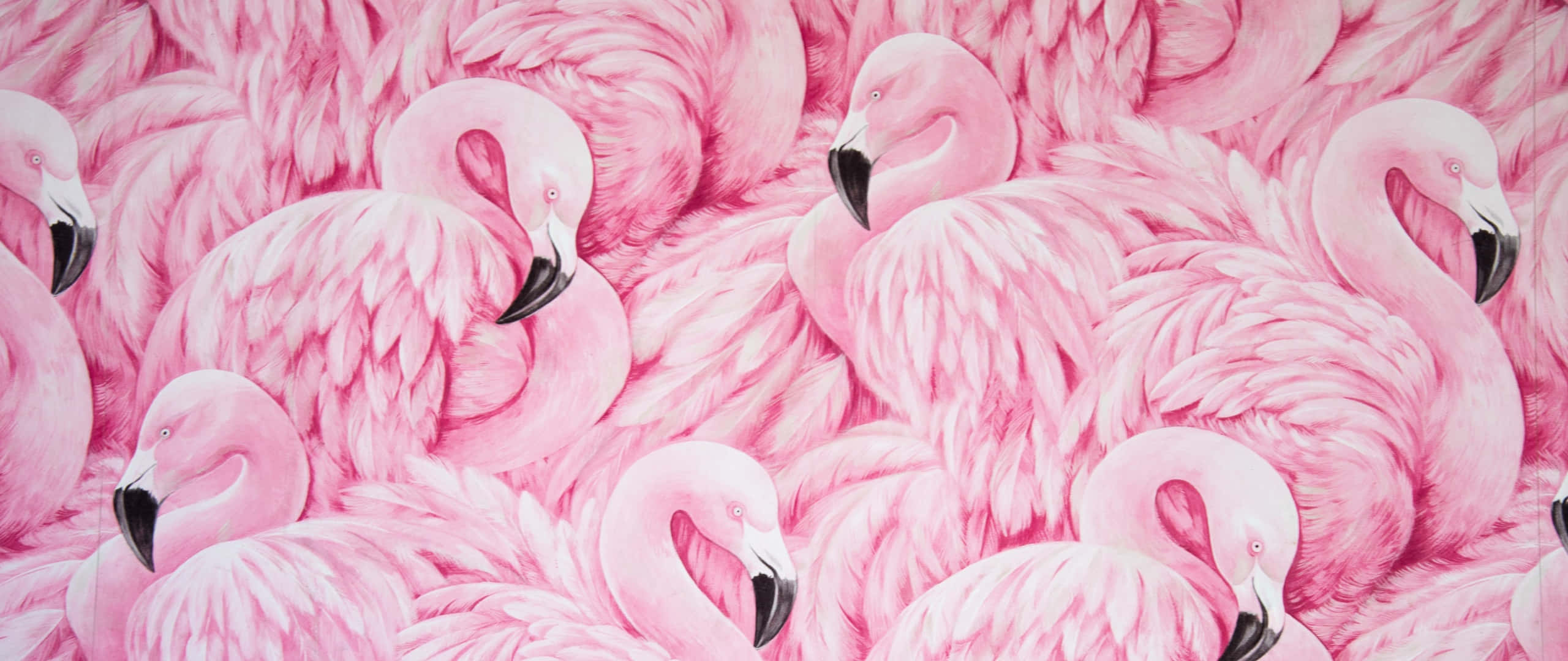 Flamingo Laptop, pink flamingos, detailed feathers, 2K Desktop Wallpaper