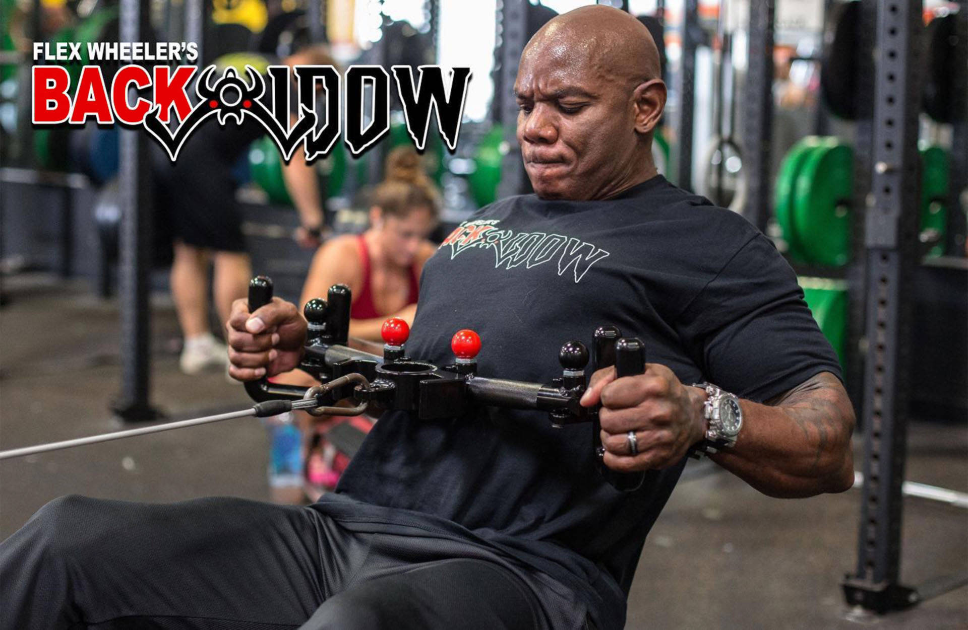 Flex Wheeler, cable machine, green weights, Full HD Desktop Wallpaper