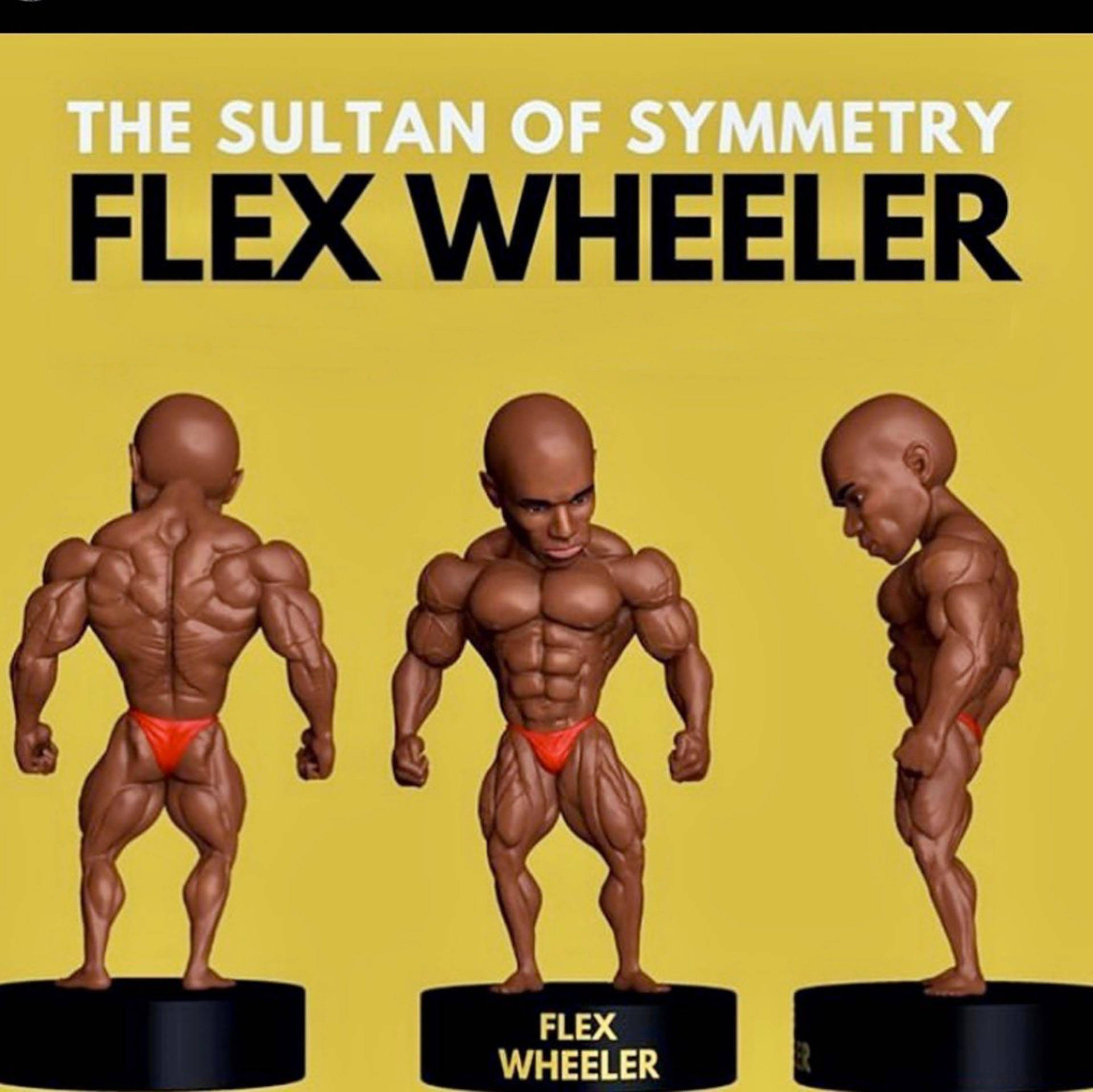 Flex Wheeler, action figures, yellow background, Full HD Desktop Wallpaper