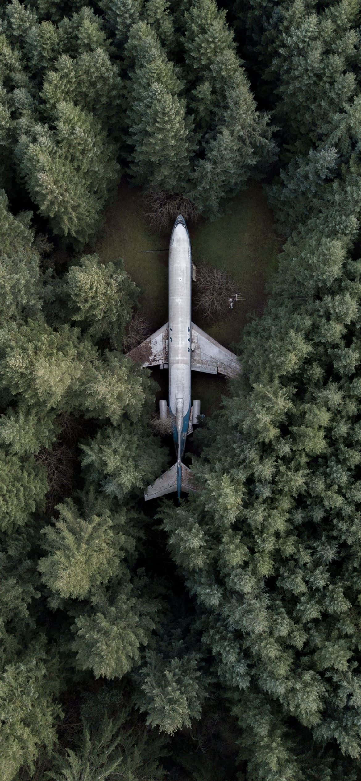 Flight 1170, 2532, crashed airplane, Full HD Phone Wallpaper