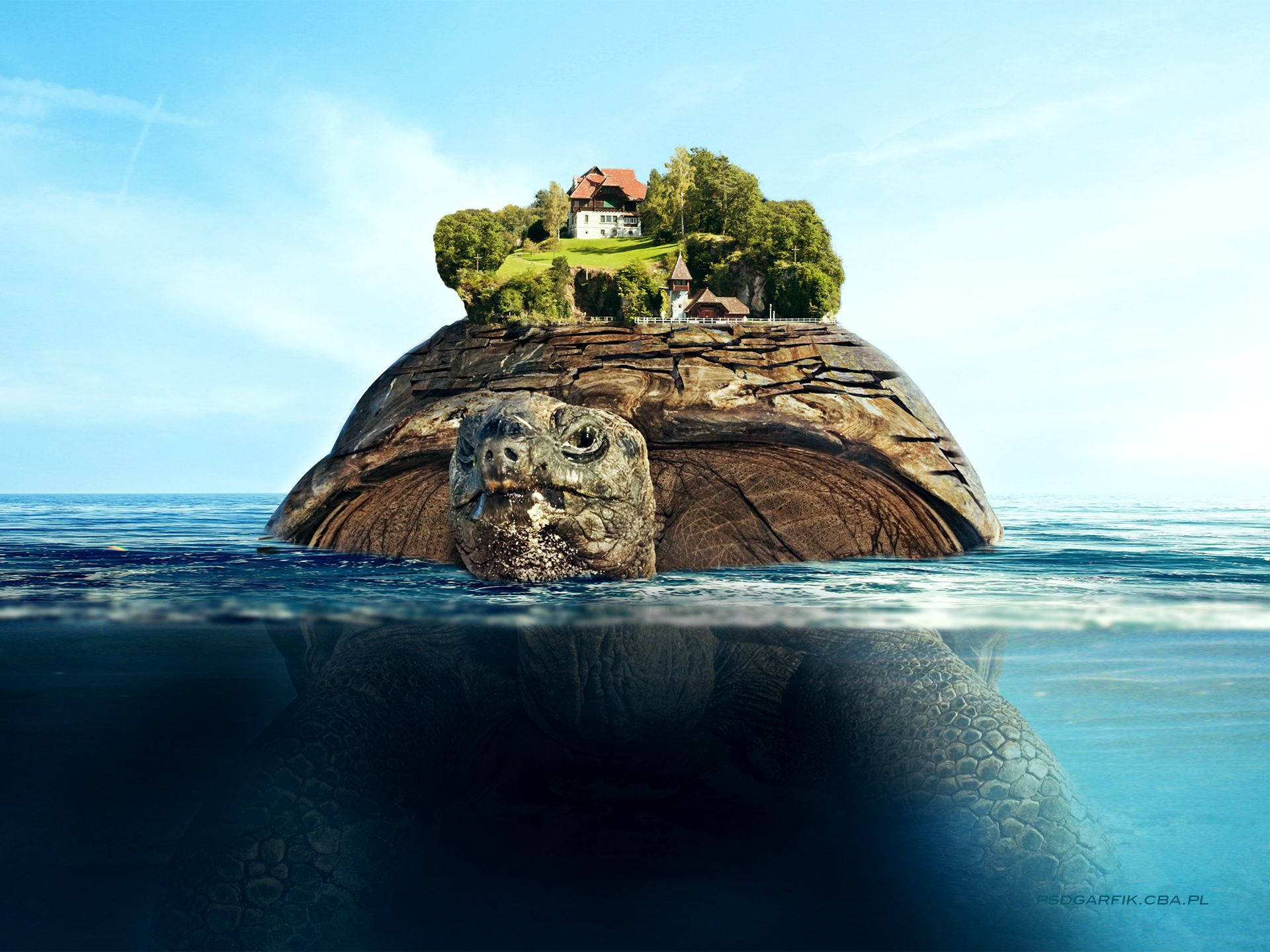 Floating Island, tortoise, lush green island, Full HD Desktop Wallpaper