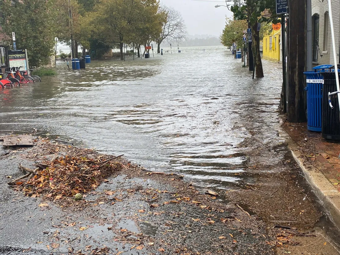 Flood