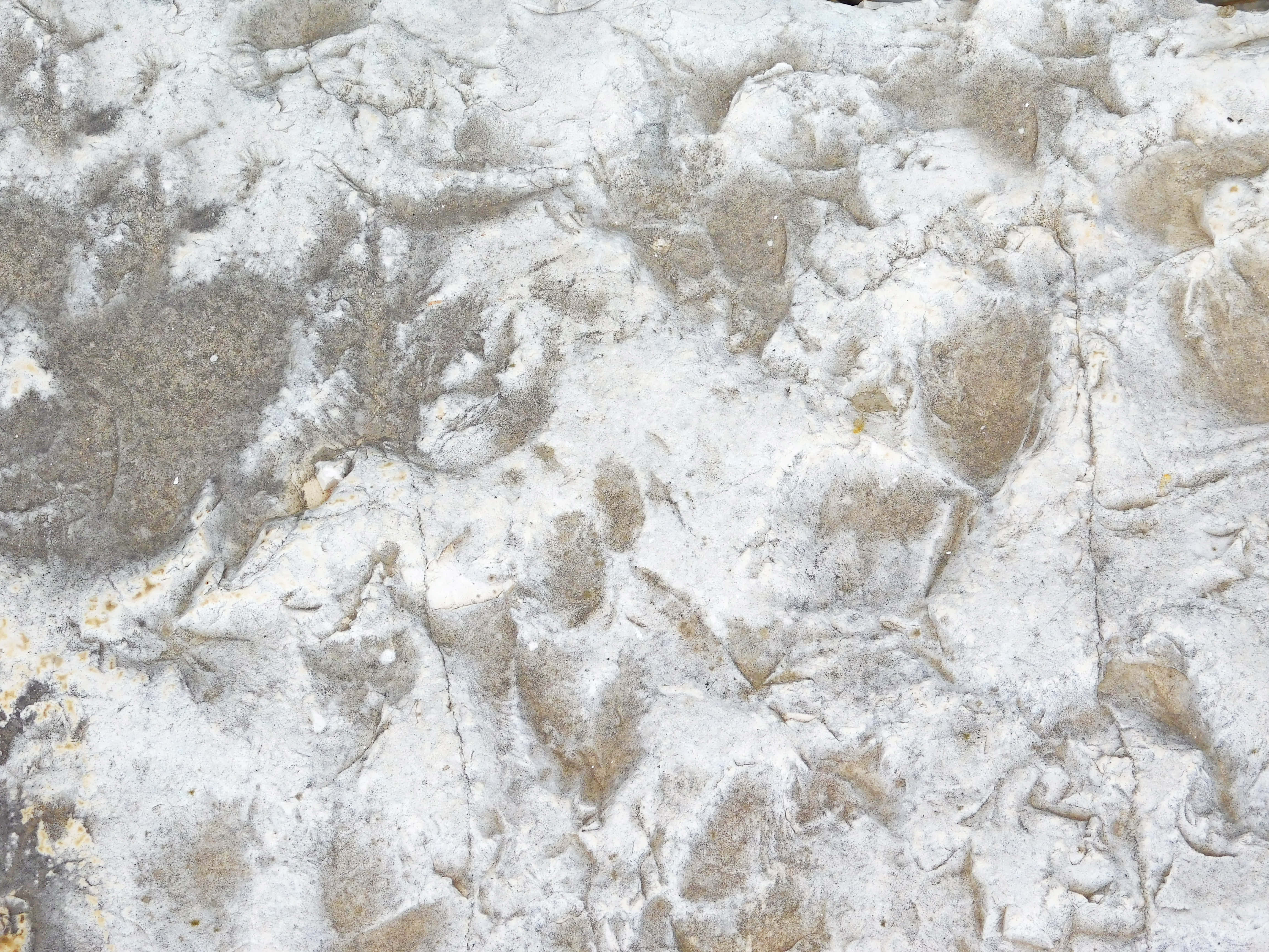 stone texture, weathered stone surface, rough white and gray textures, 4K Desktop Wallpaper