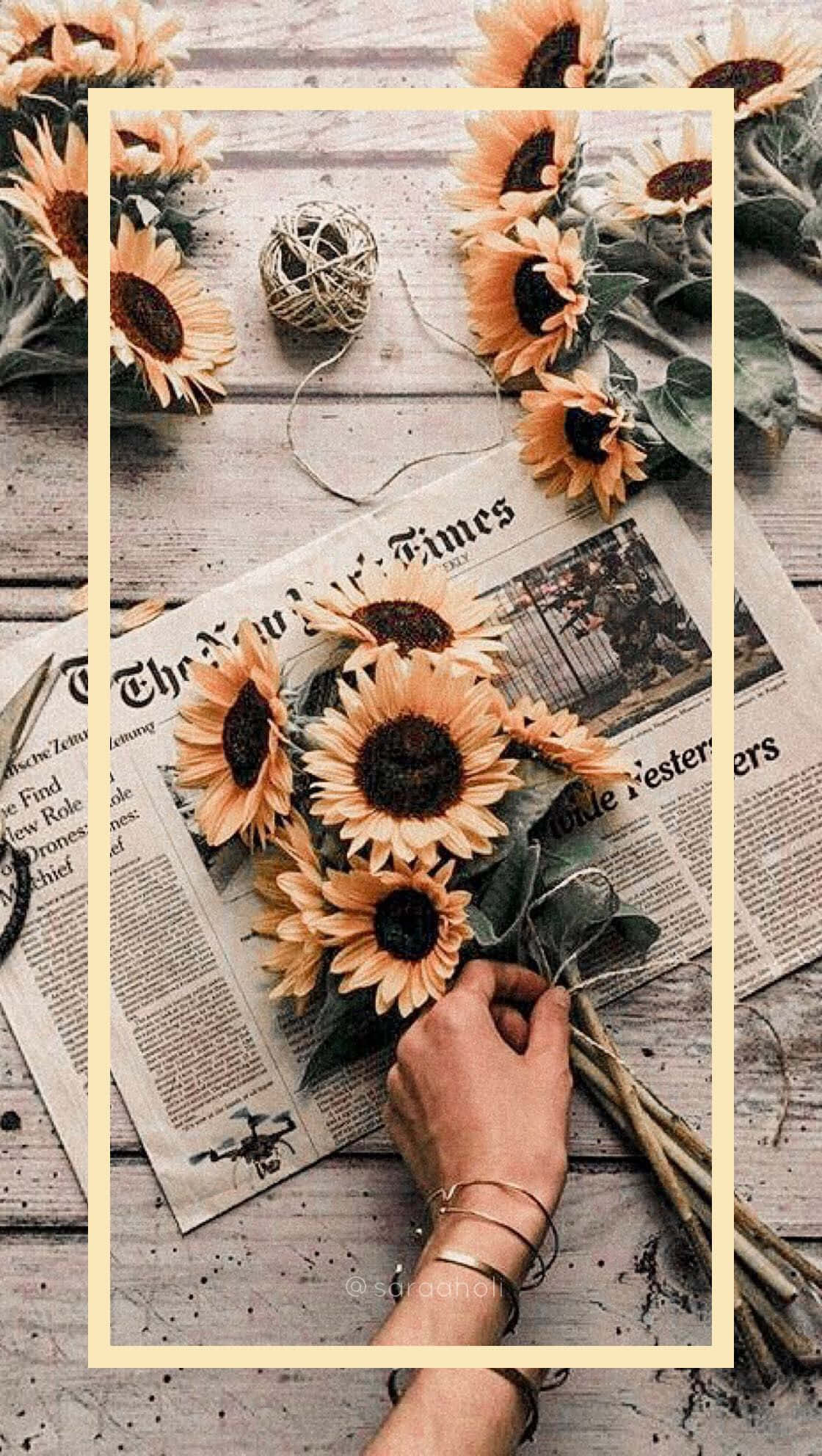 floral aesthetic iPhone, sunflowers, twine, Full HD Phone Wallpaper
