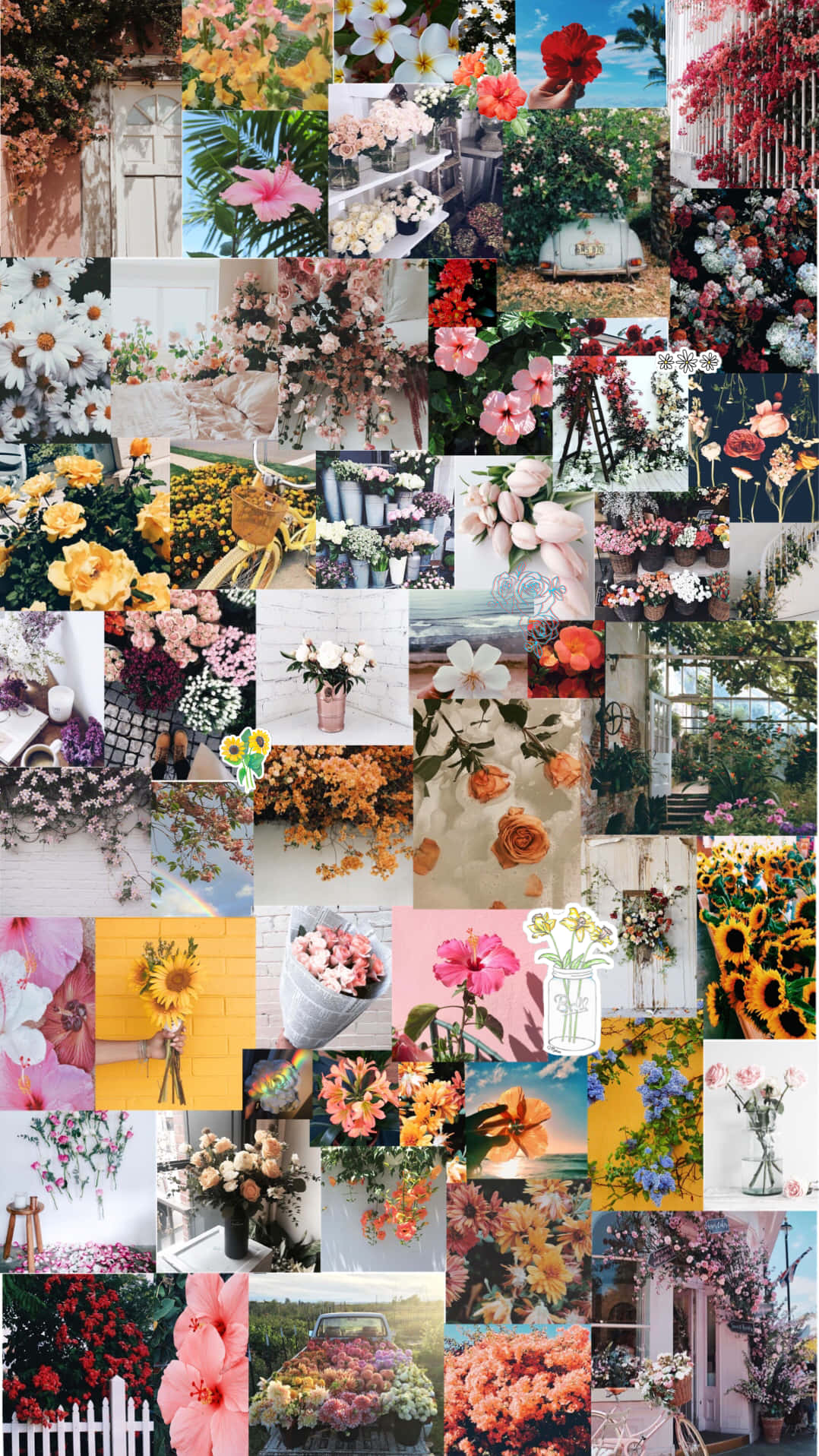floral aesthetic iphone, vibrant floral arrangements, blossoms in vases, HD Phone Wallpaper