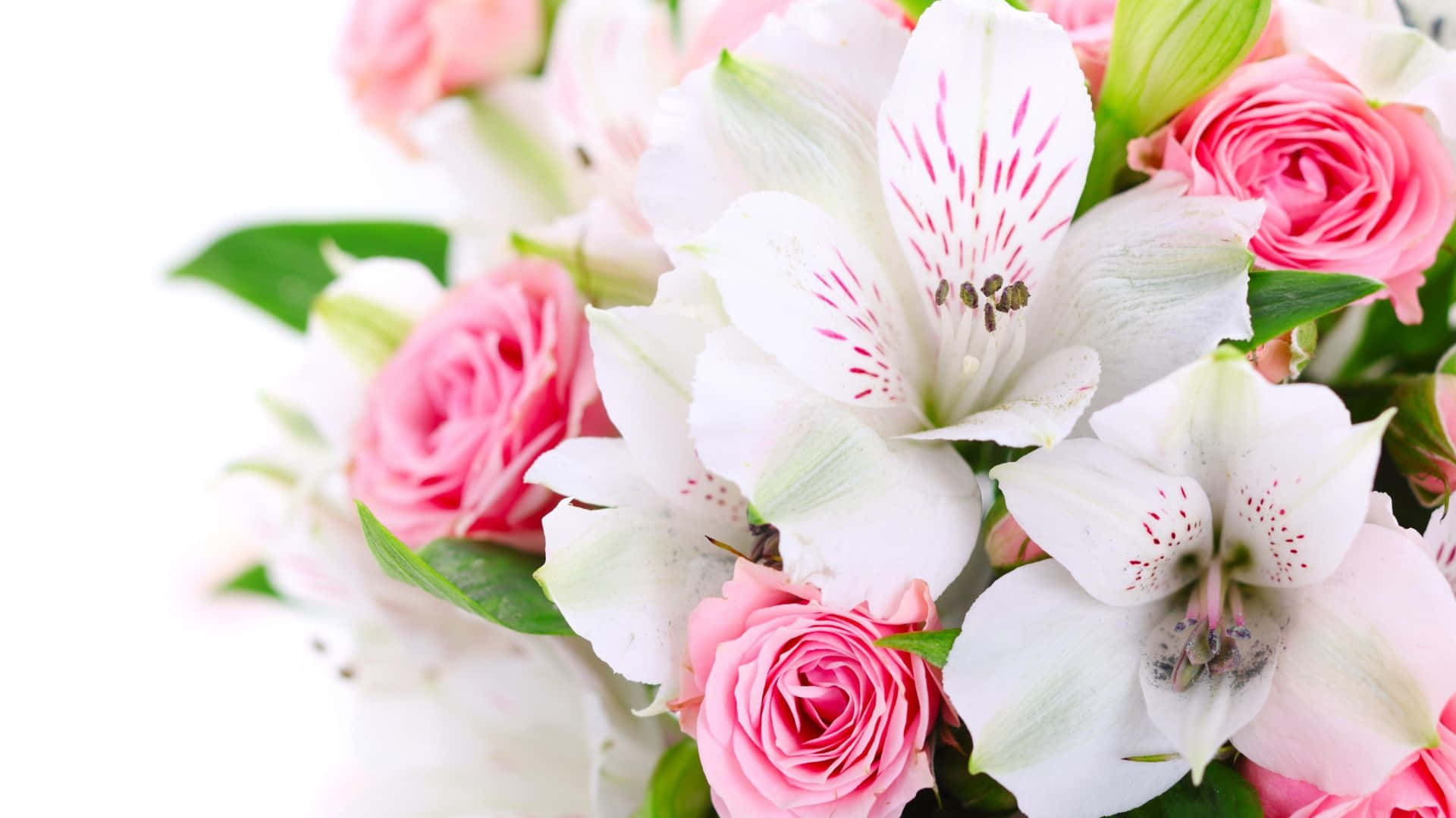 floral arrangement, pink roses, white alstroemeria, Full HD Desktop Wallpaper