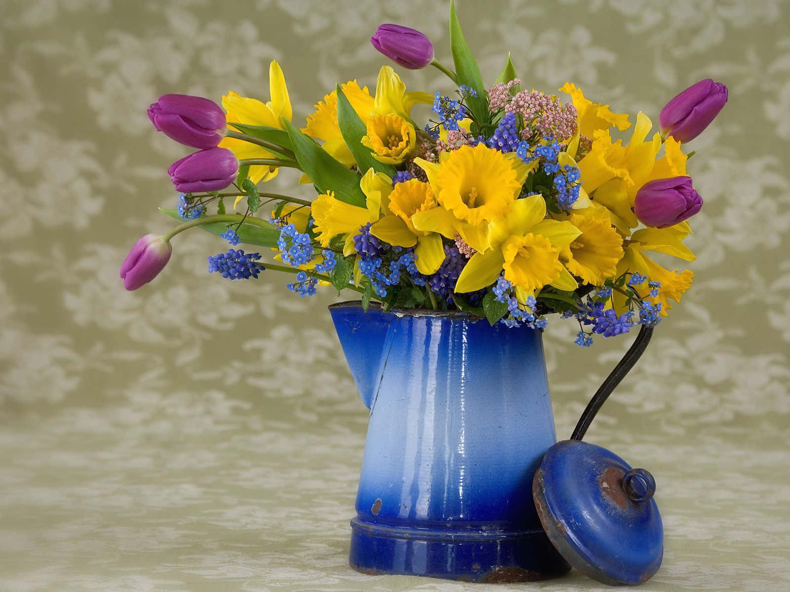 yellow daffodils, purple tulips, rustic blue enamel coffee pot, HD Desktop Wallpaper