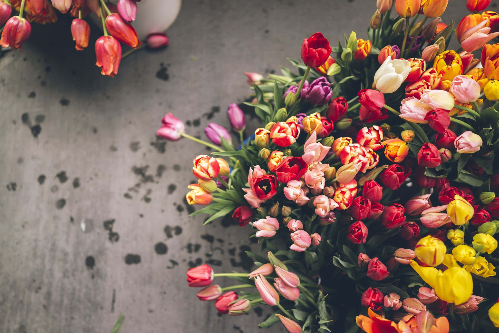 floral arrangement, multicolored tulips, weathered gray concrete surface, Full HD Desktop Wallpaper