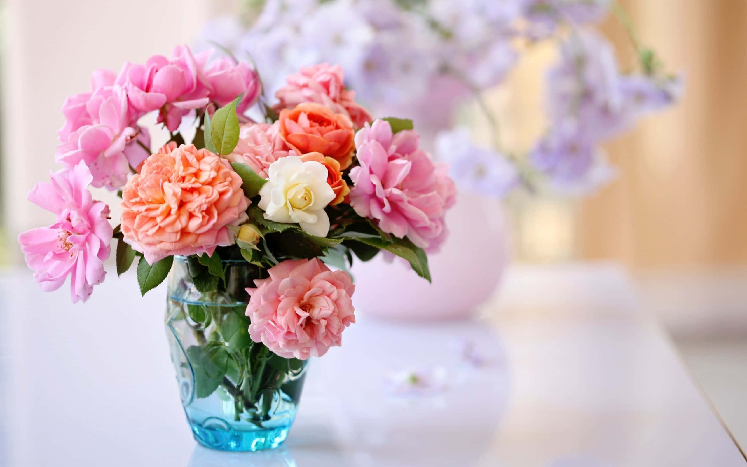 pink peach and white roses, blue glass vase, white table, 2K Desktop Wallpaper