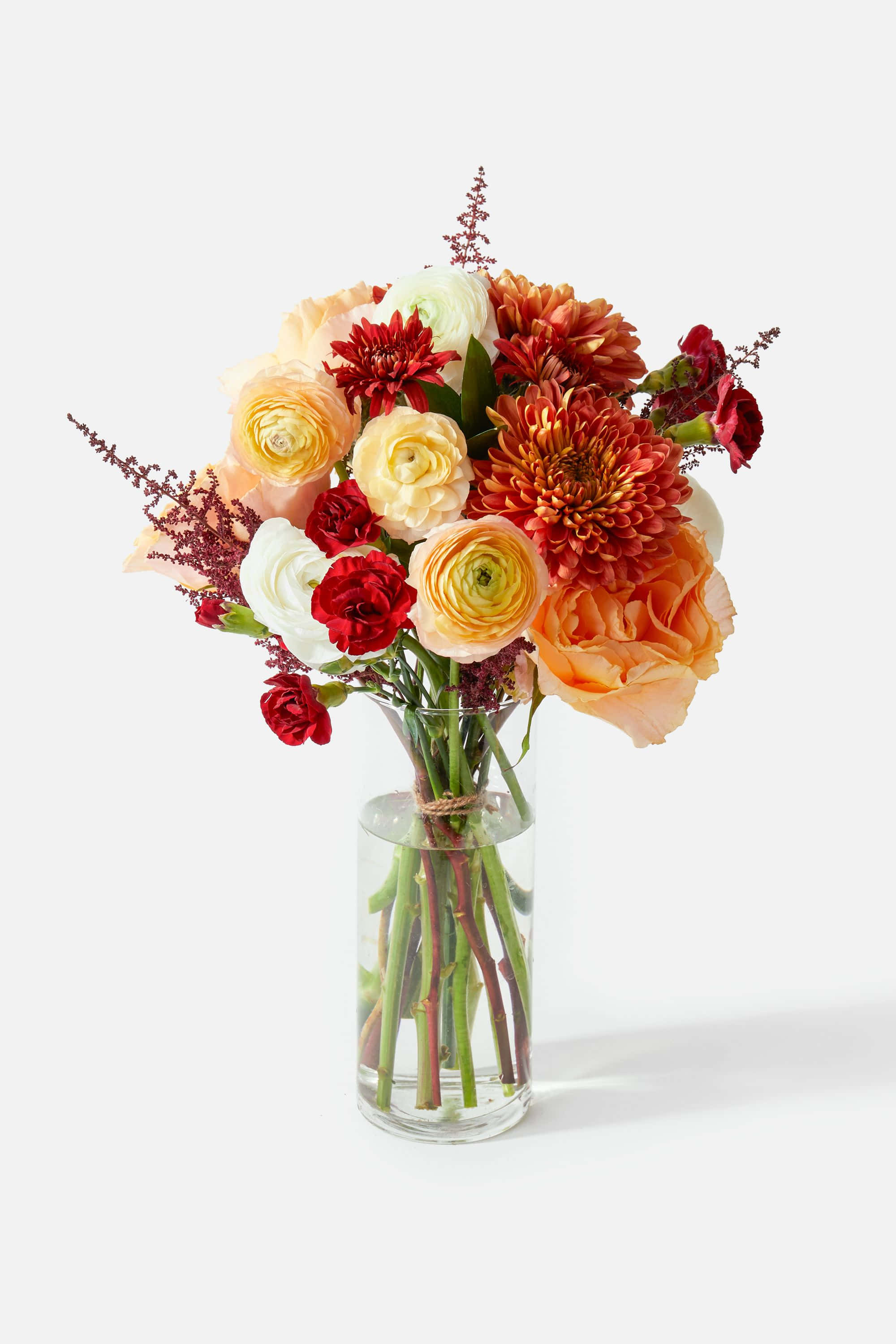 floral arrangement, clear glass vase, red orange and cream blooms, 2K Phone Wallpaper