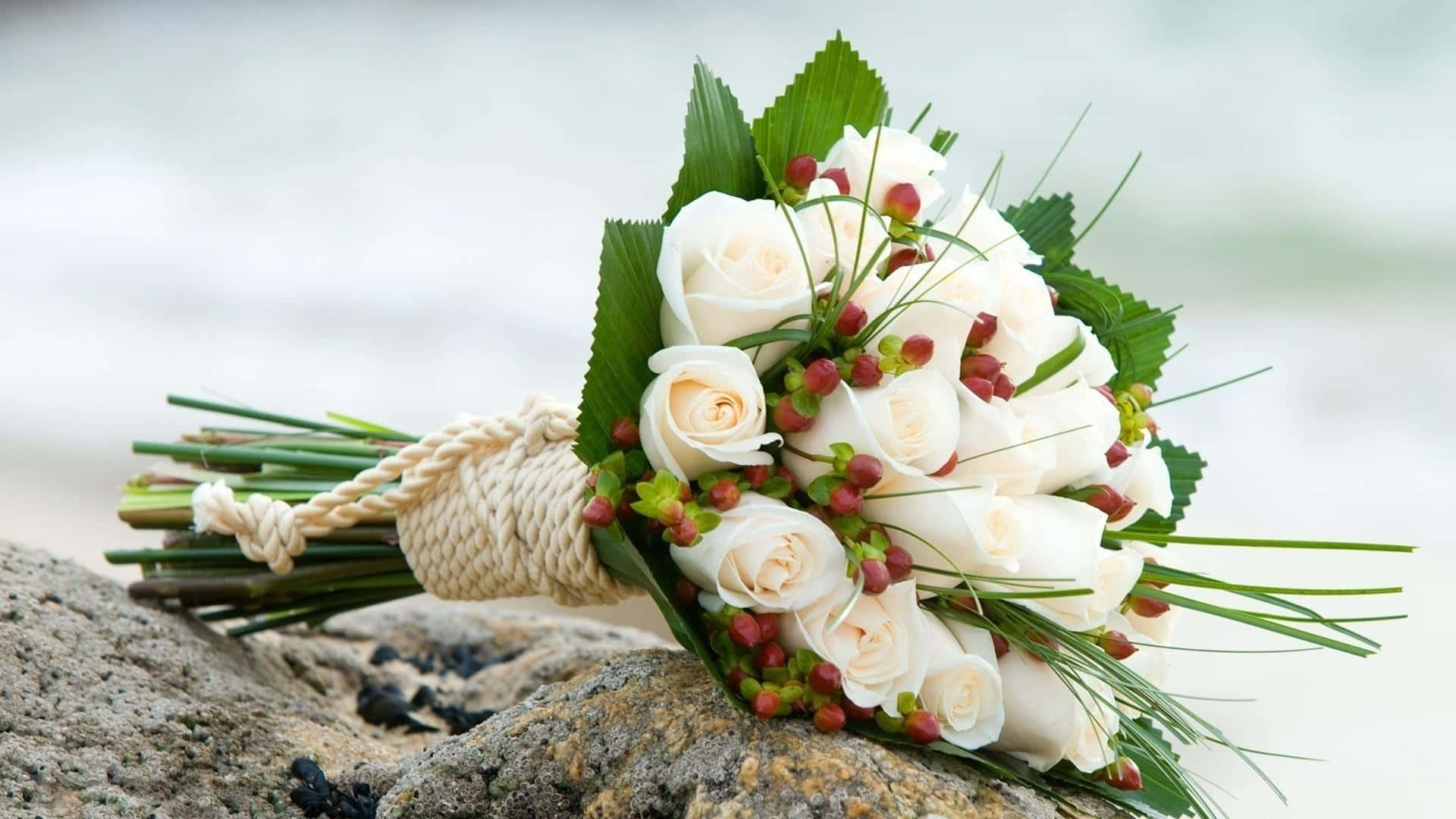 white roses, greenery, rocky beach, Full HD Desktop Wallpaper