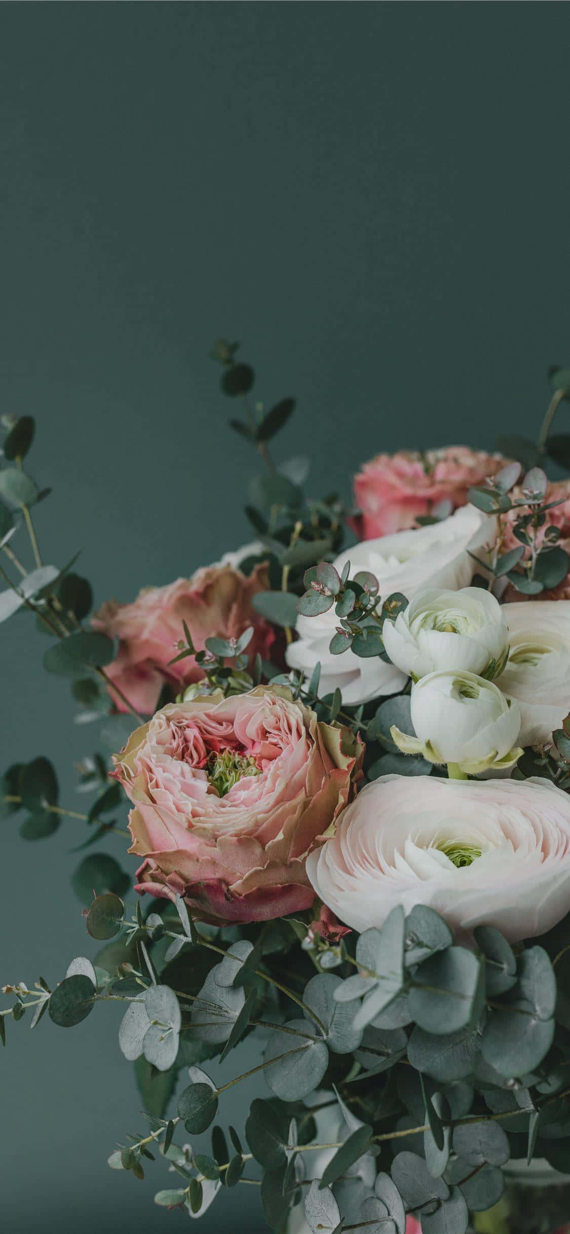 floral arrangement, pink ranunculus, white roses, Full HD Phone Wallpaper