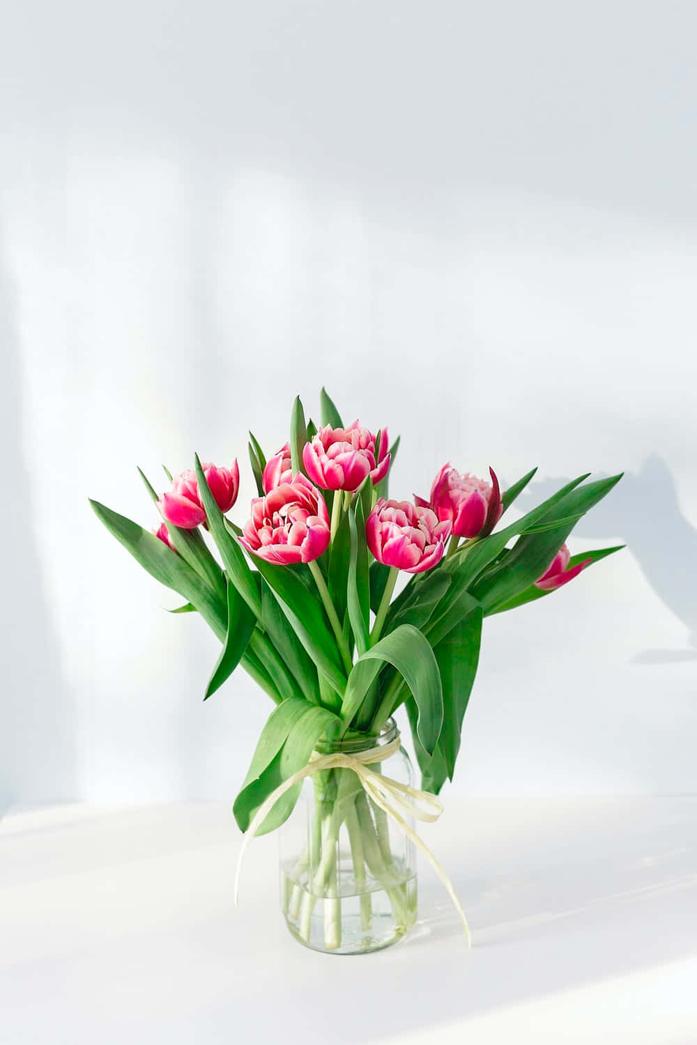Floral Arrangement, pink tulips, green stems, HD Phone Wallpaper
