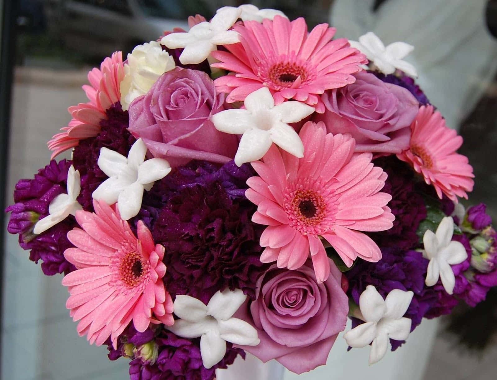 pink gerbera daisies, purple roses, white jasmine, HD Desktop Wallpaper