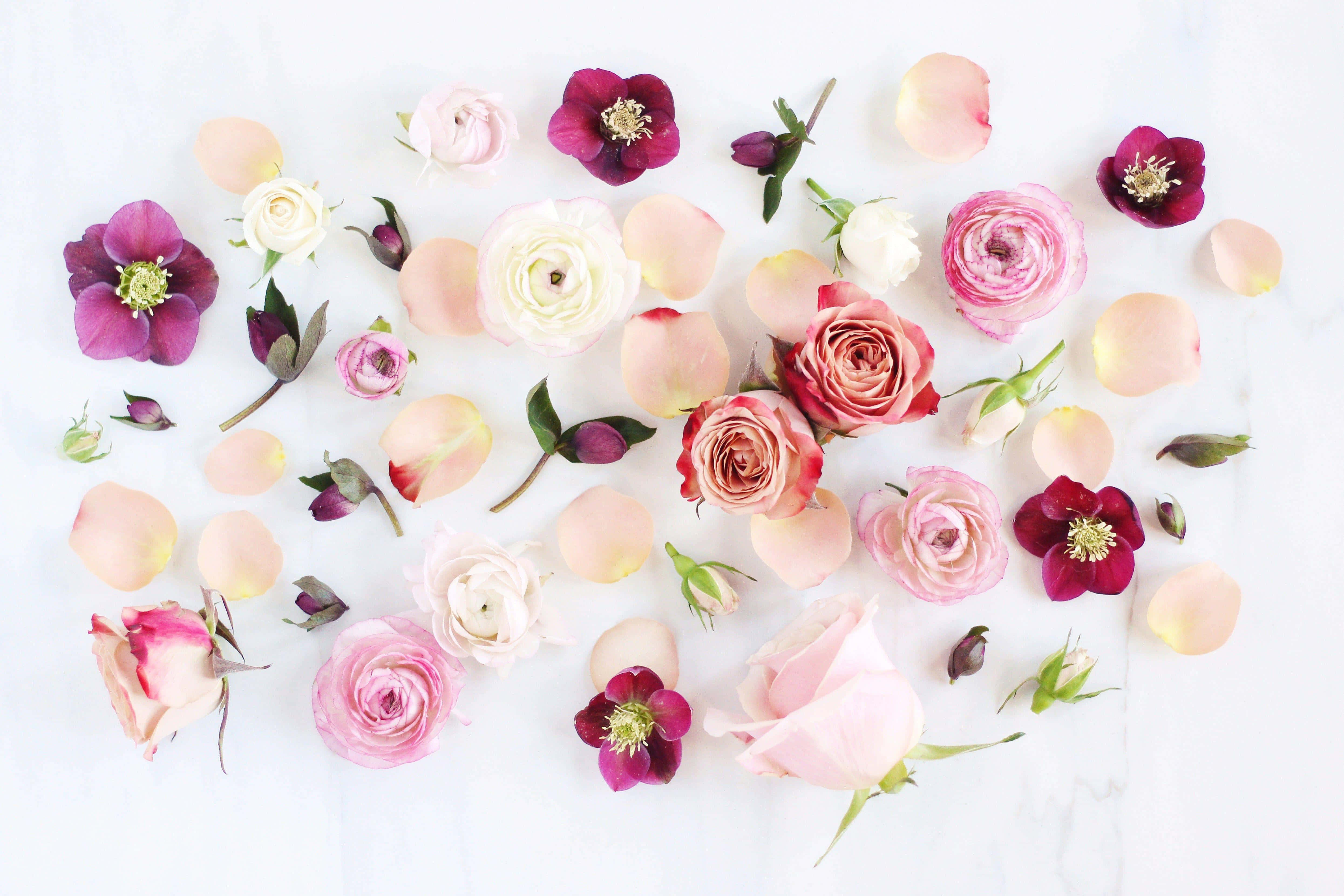 assorted floral array, modern design, pink peach, 4K Desktop Wallpaper