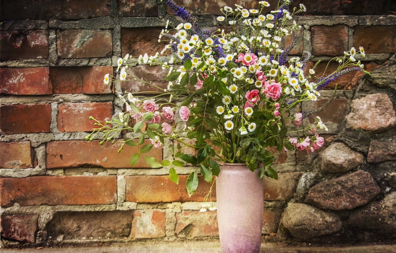pink roses, daisies, purple flowers, HD Desktop Wallpaper