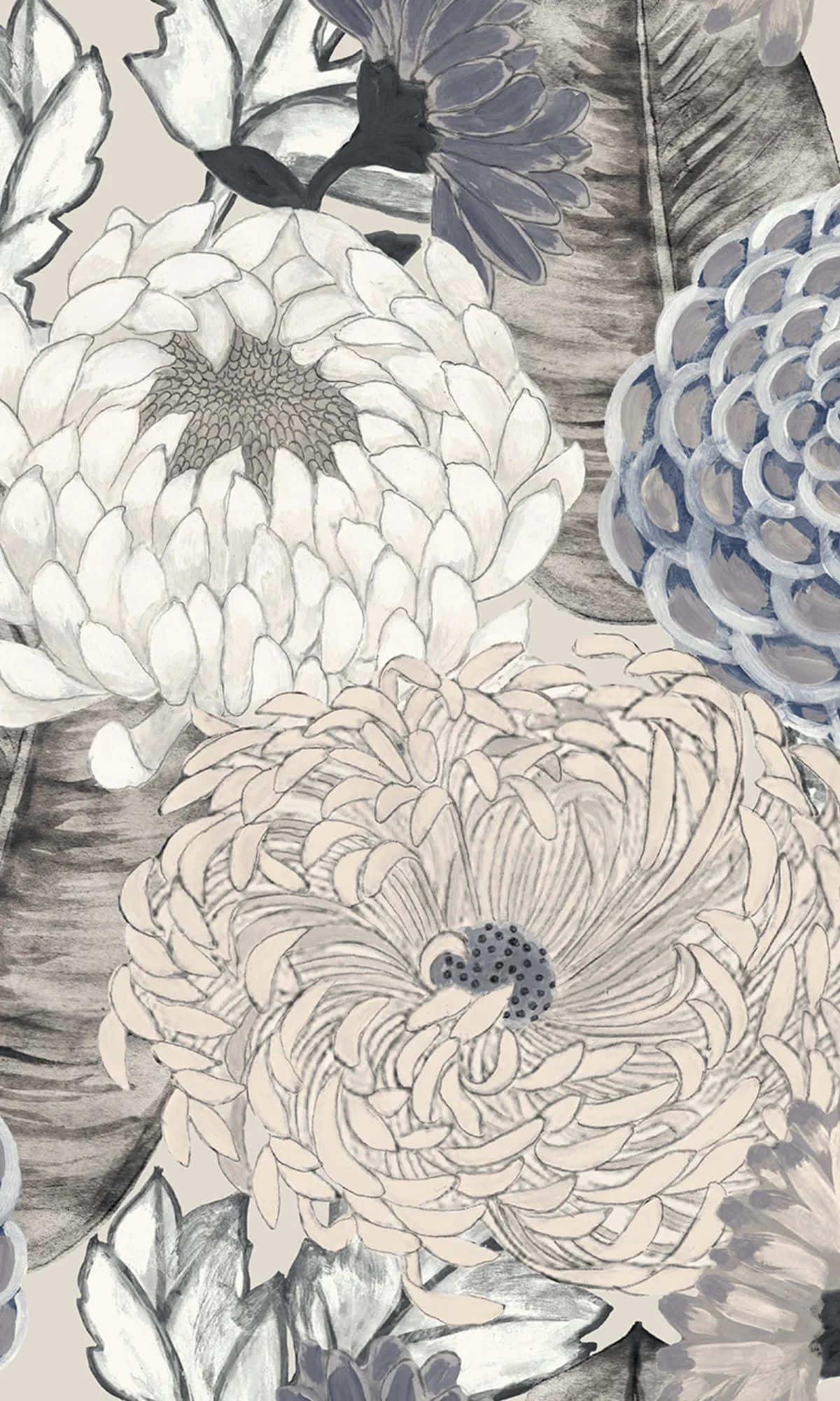 elegant gray floral pattern, chrysanthemums, gray blue, Full HD Phone Wallpaper