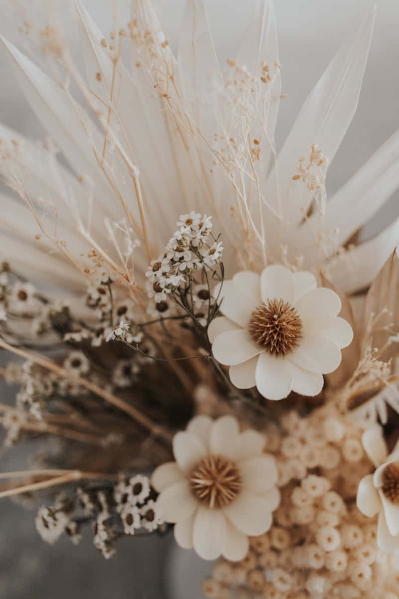 soft beige floral arrangement, dried beige and white flowers, delicate petals, SD Phone Wallpaper