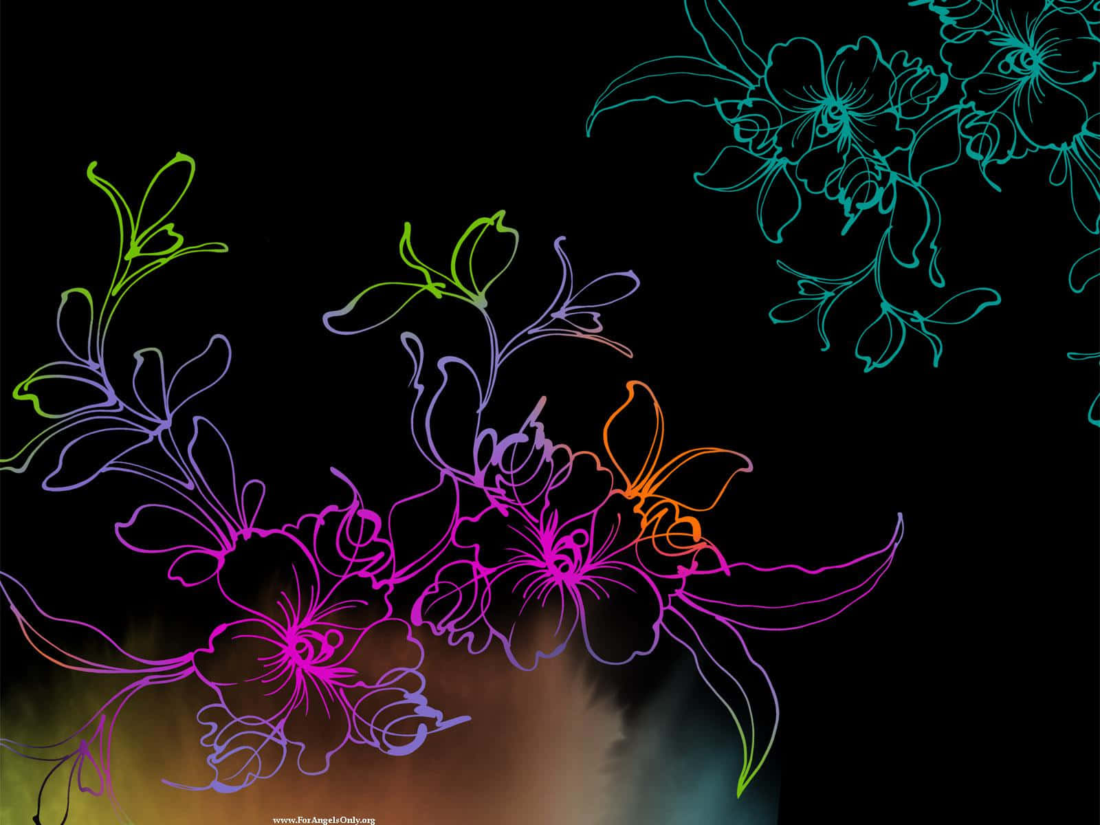 floral art, neon floral outlines, black background, HD Desktop Wallpaper