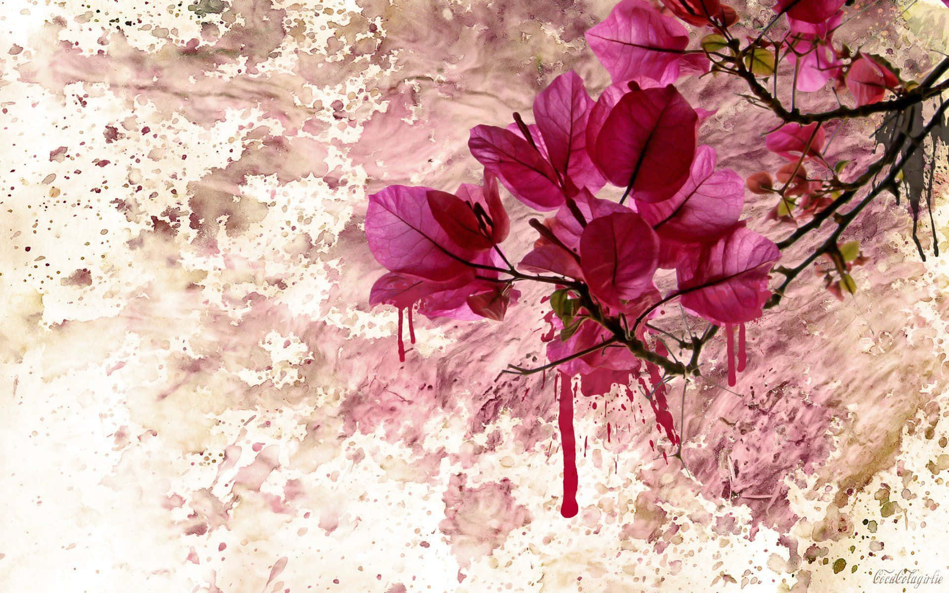 floral art, pink bougainvillea, dark branches, Full HD Desktop Wallpaper