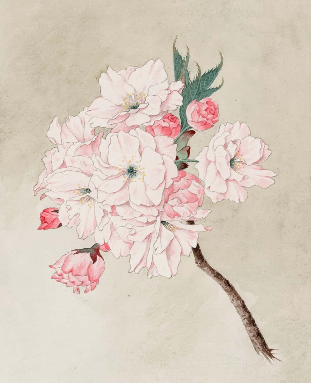 cherry blossom branch, soft pink blooms, green leaves, SD Phone Wallpaper