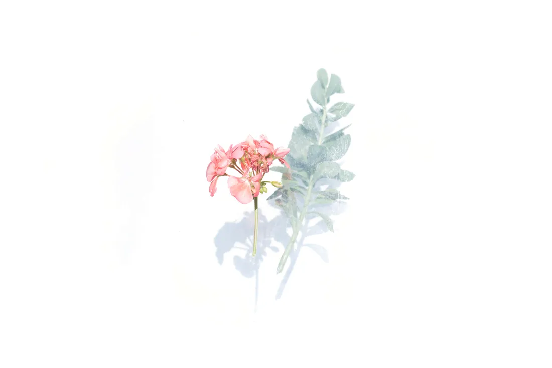 Floral Computer