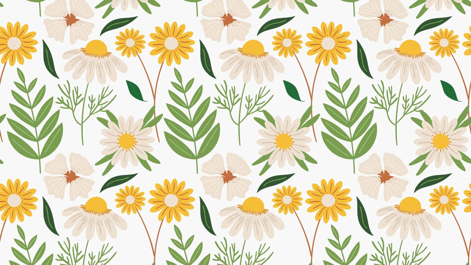 floral computer, yellow daisies, cream daisies, HD Desktop Wallpaper