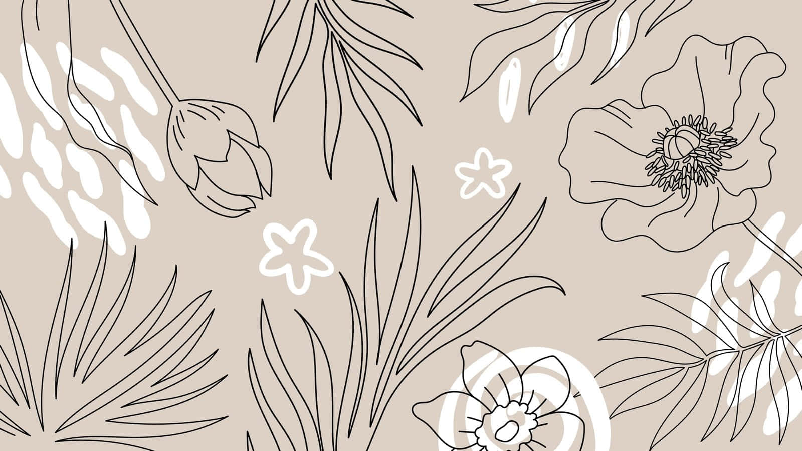 floral computer, minimalist line art, delicate flowers, HD Desktop Wallpaper