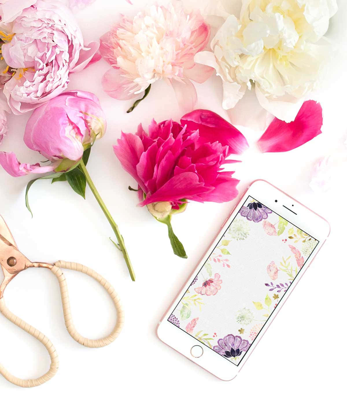 floral computer, pink and white peonies, smartphone, HD Phone Wallpaper