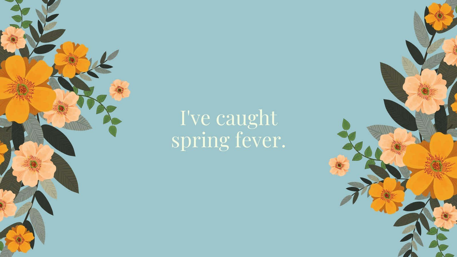Floral Computer, vibrant orange, peach flowers, HD Desktop Wallpaper