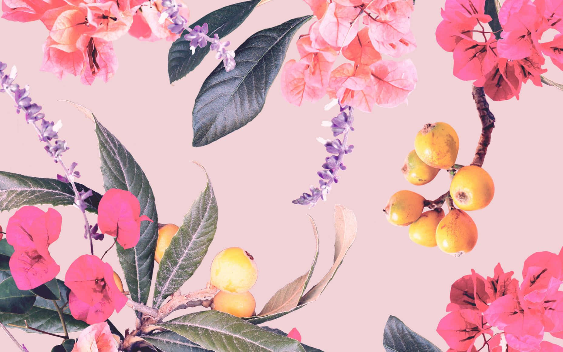 pink, yellow floral pattern, soft pink background, HD Desktop Wallpaper
