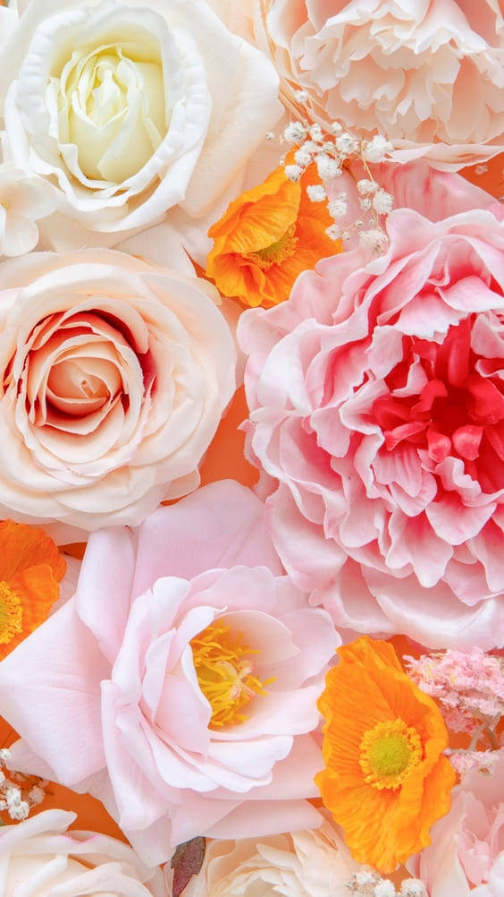 pastel blooms floral iphone, soft pink peonies, creamy roses, SD Phone Wallpaper