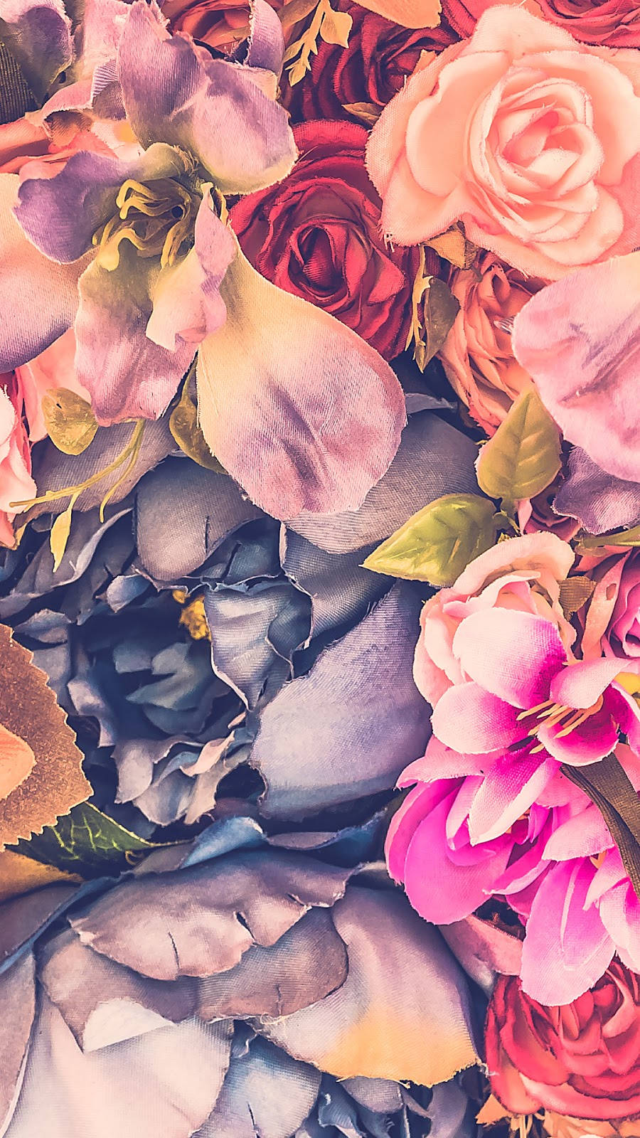 Floral iPhone, pink peach roses, deep red roses, HD Phone Wallpaper