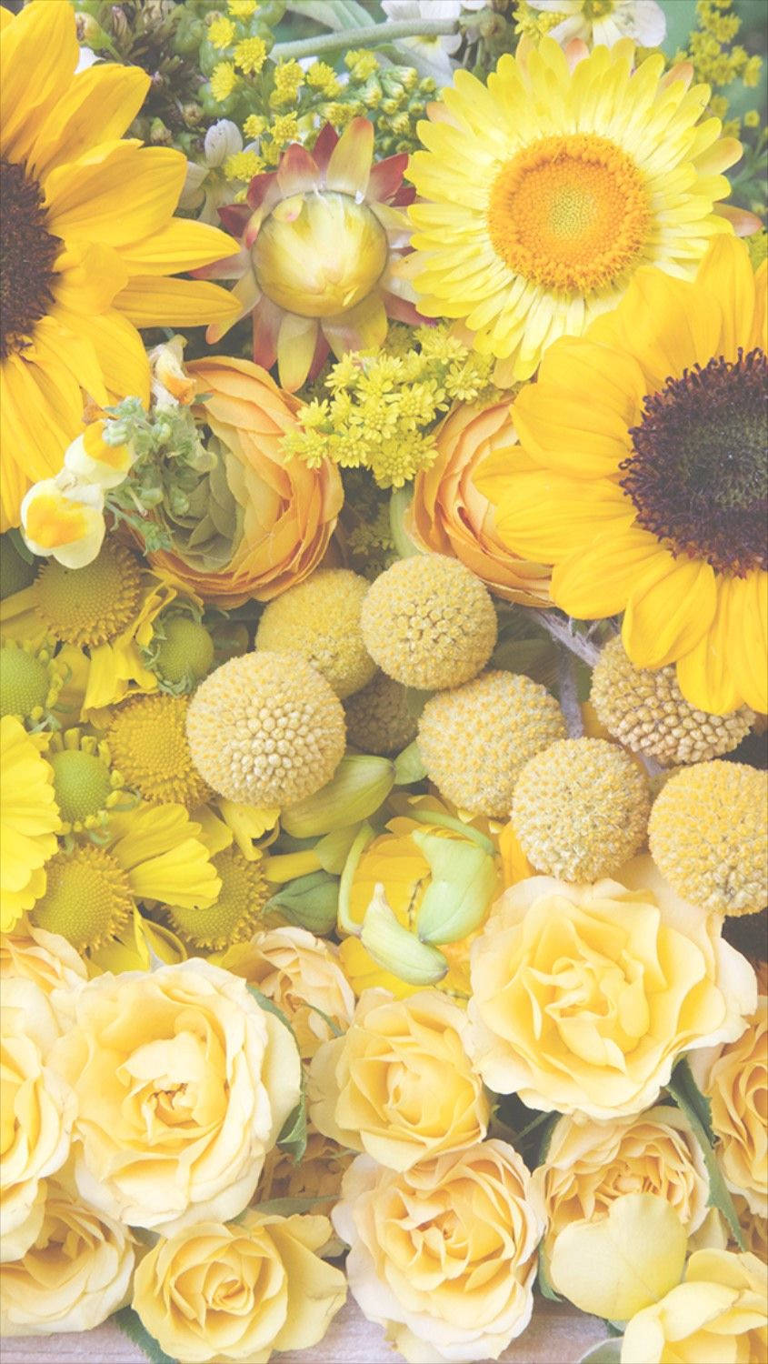 yellow floral iPhone, sunflowers, roses, HD Phone Wallpaper