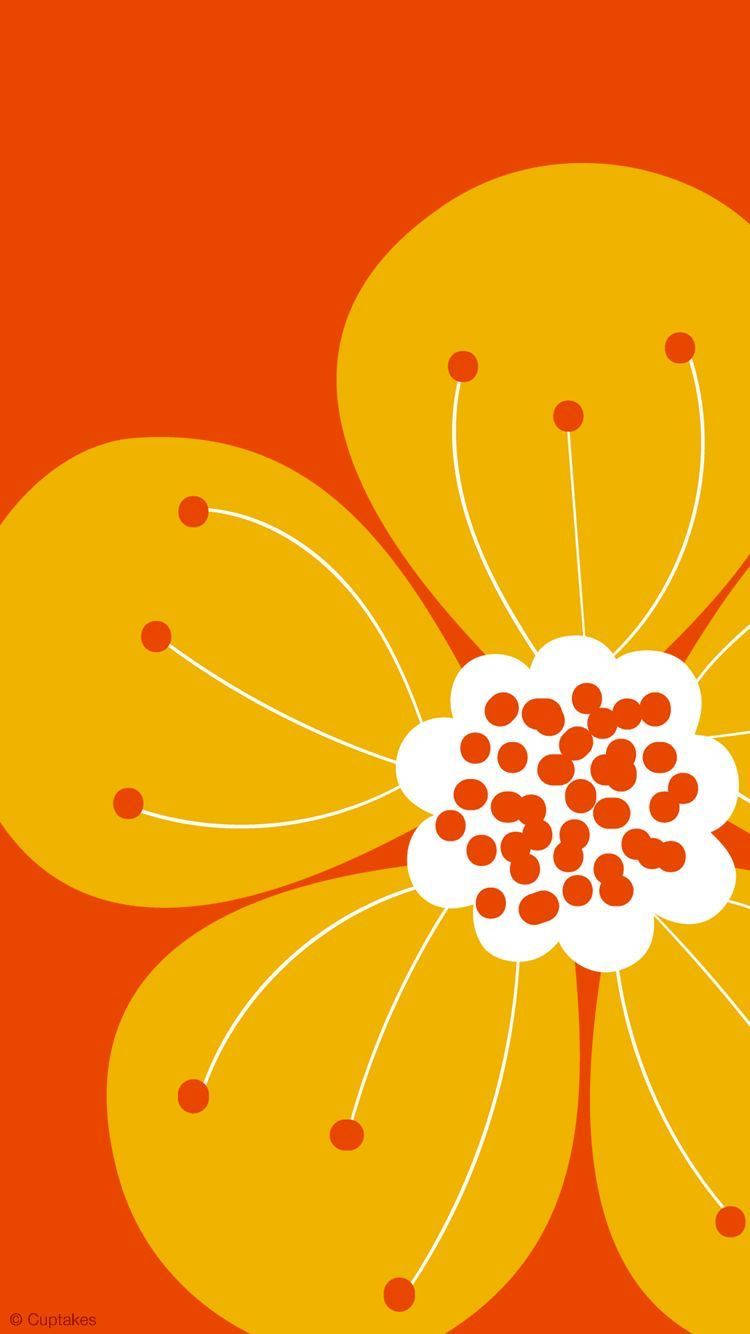 orange floral, yellow flower, white center, HD Phone Wallpaper
