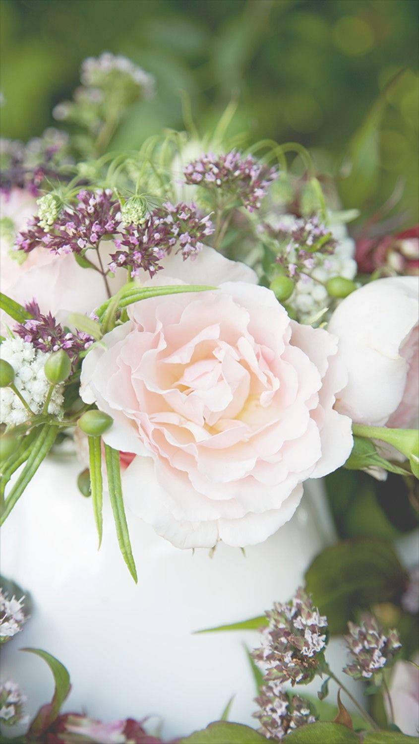 white rose, pink roses, purple filler flowers, HD Phone Wallpaper