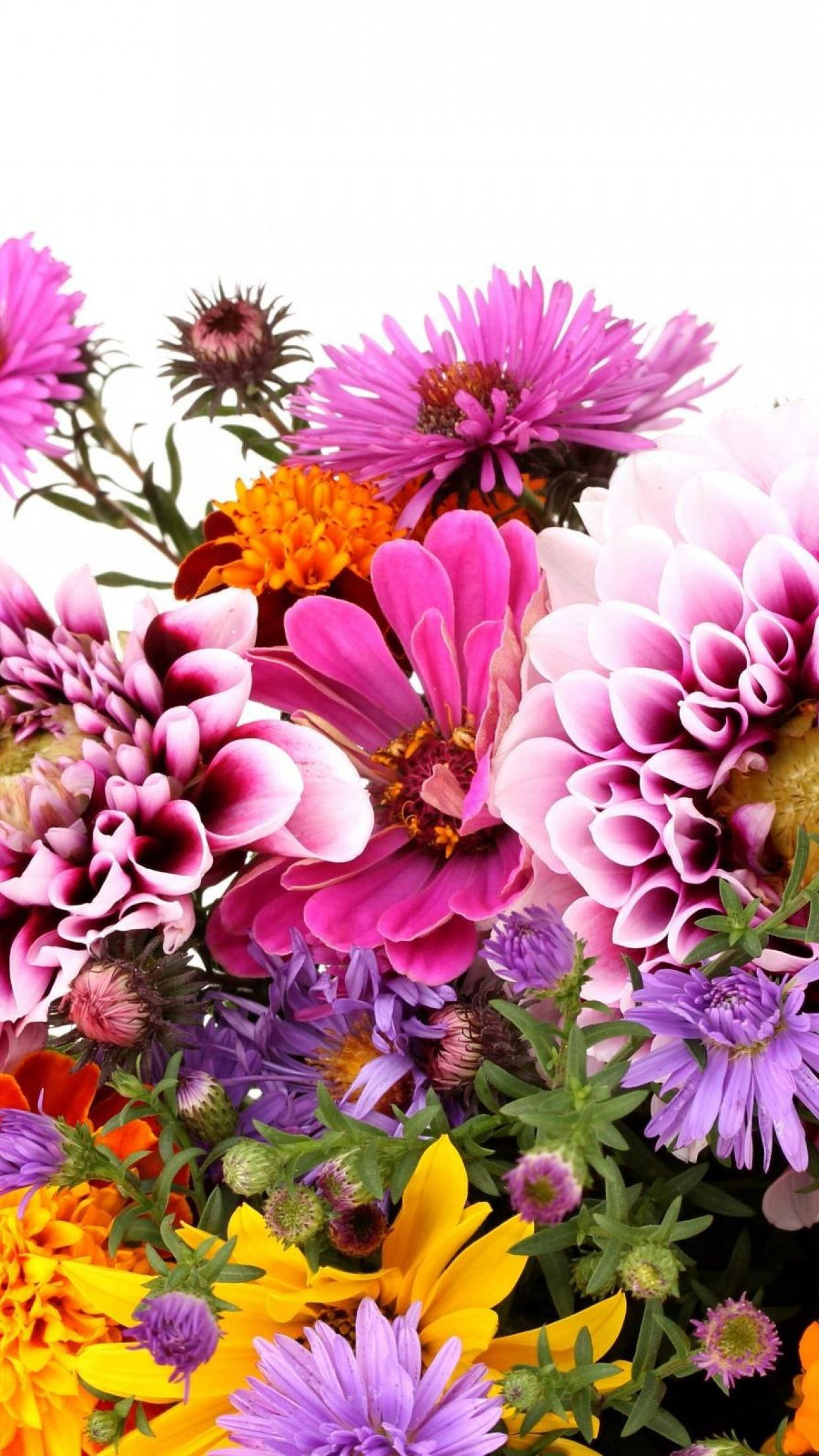 pink and purple flowers, orange and yellow flowers, green stems, Full HD Phone Wallpaper