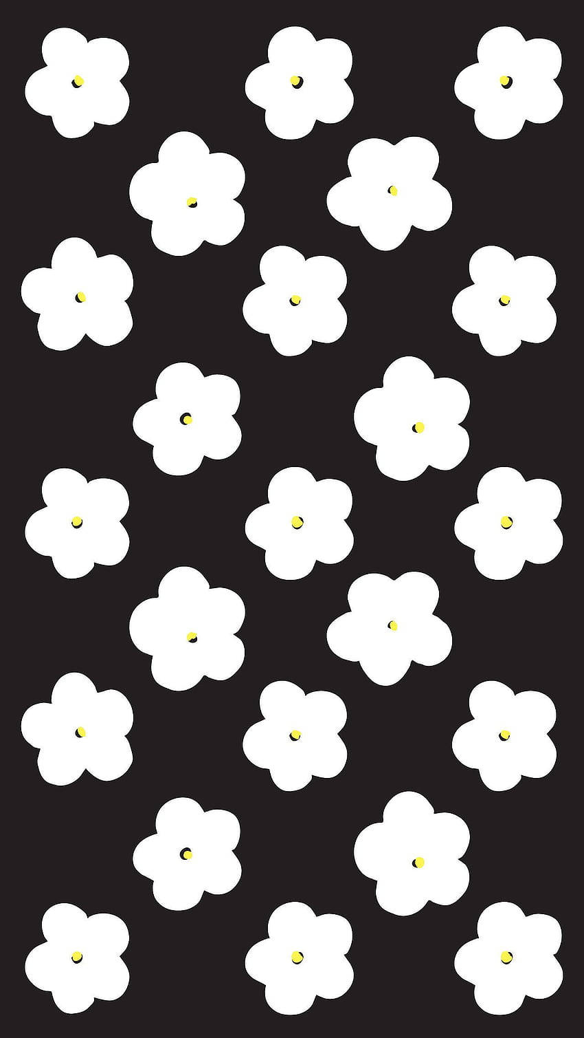 white flower, yellow centers, solid black background, HD Phone Wallpaper